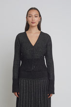 Load image into Gallery viewer, JENNI CARDI | BLACK + SILVER LUREX
