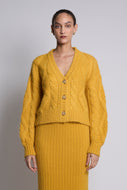 TARA CARDI | GOLDEN