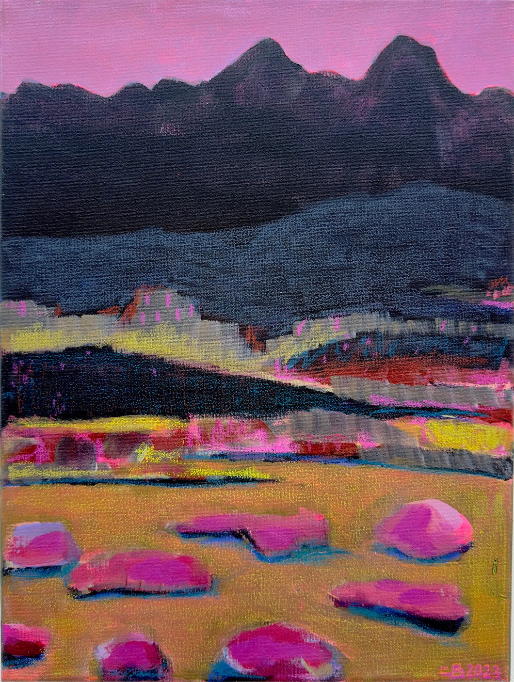CAROLINE BURDETT ART | MAGIC DESERT